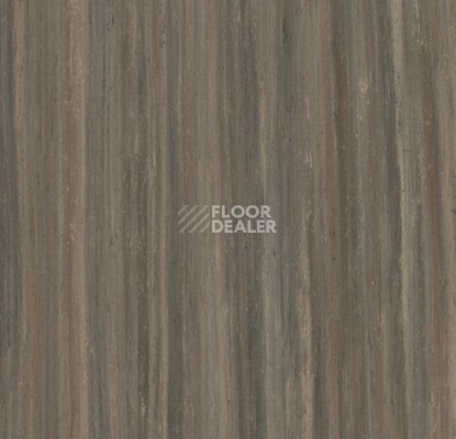 Кварцвиниловые полы Marmoleum Modular t5231 Cliffs of Moher фото 1 | FLOORDEALER